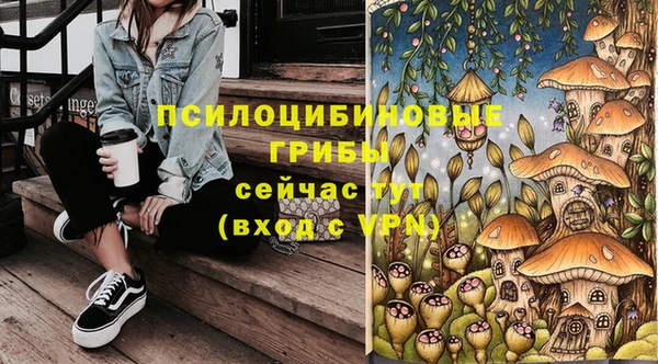 дурь Алзамай