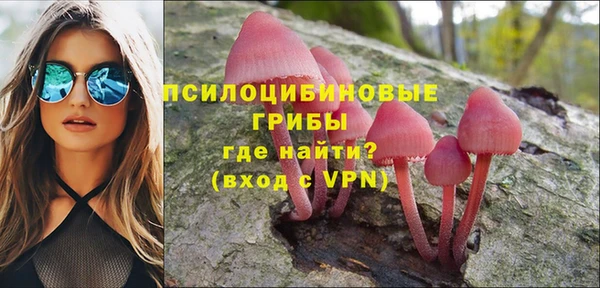 дурь Алзамай